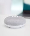 Google Home Mini [Attributes & Options]