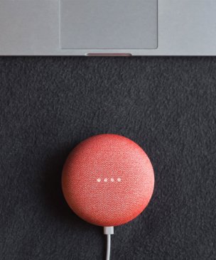 Google Home Mini [Attributes & Options]