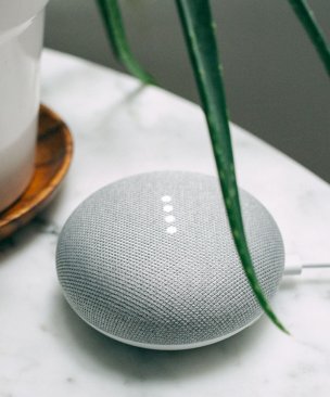 Google Home Mini [Attributes & Options]
