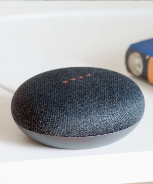 Google Home Mini [Attributes & Options]