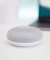 Google Home Mini [Attributes & Options]