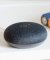 Google Home Mini [Attributes & Options]